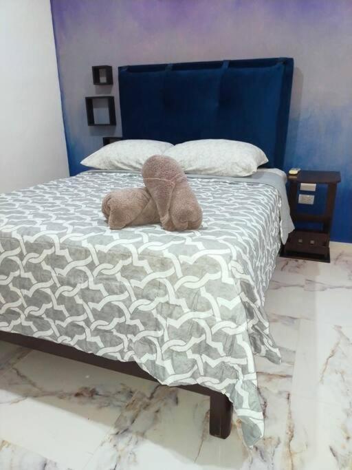 Loft Soliman - Netflix - Hbo - Near Market 28 - Downtown Cancún Eksteriør billede