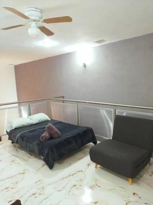 Loft Soliman - Netflix - Hbo - Near Market 28 - Downtown Cancún Eksteriør billede